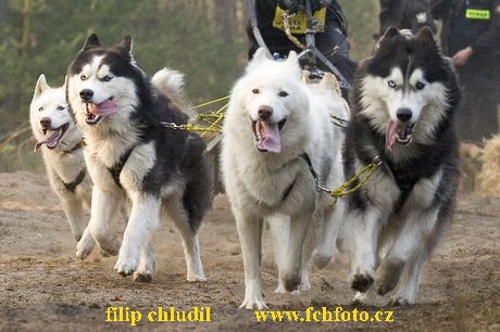 Polsko 2005 - 449.jpg